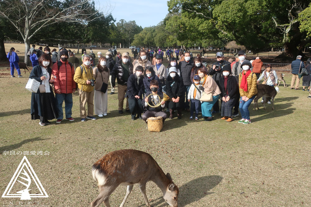 奈良の冬景～鹿寄せ～１２月１日・２日